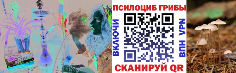 наркотики  Кизилюрт  Галлюциногенные грибы Psilocybe 